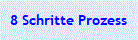 8 Schritte Prozess