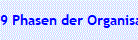 9 Phasen der Organisation