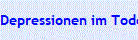 Depressionen im Todestrakt