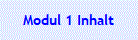 Modul 1 Inhalt
