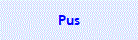 Pus