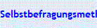 Selbstbefragungsmethode zum Kernthema