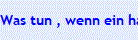 Was tun , wenn ein haustier alles demoliert