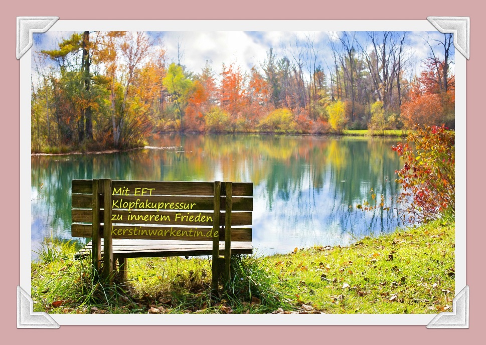 wood-bench-986347_1920 wood-bench-986347_1920